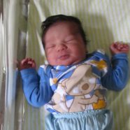 Hector  Henrique